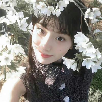 我自清欢，无风无月